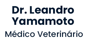 Leandro Yamamoto Médico Veterinário especializado em Oftalmologia e microcirurgia ocular